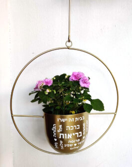 עציץ תלוי עם הקדשה אישית ובו צמח לבית או למשרד