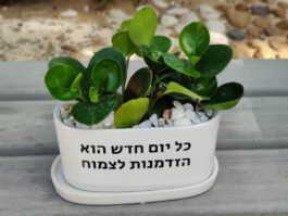 אדנית מחרס עם תחתית