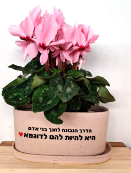אדנית “הדרך הנכונה…”