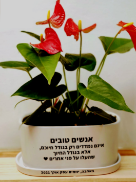 אדנית “אנשים טובים”