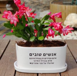 אדנית “אנשים טובים”