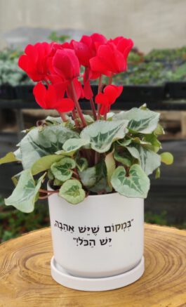 עציץ “במקום שיש אהבה”