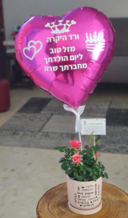עציץ ורד “מוכשרת מהממת, אין עלייך…” עם בלון