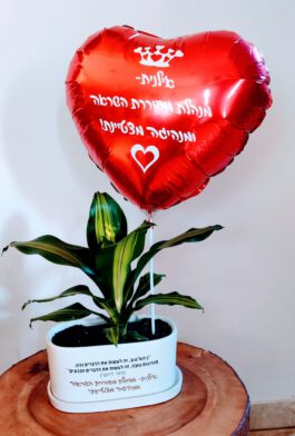 אדנית עם בלון הקדשה