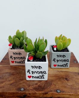 עציץ חרס מרובע עם הקדשה למורה או לגננת “כל מה שילד צריך…”