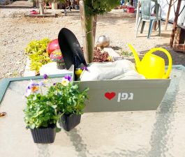 ערכת שתילה- אדנית